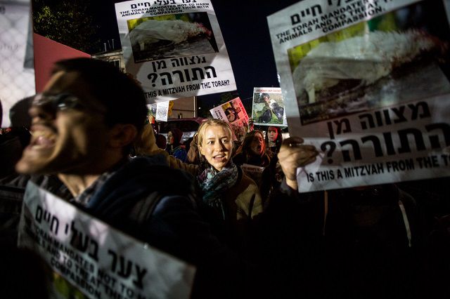 Animal-rights protesters chant outside the family night kapparot ceremony at the Associated Beth Rivkah Schools on Sunday.